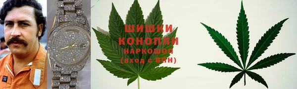 шишки Аркадак