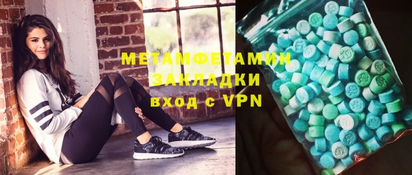 шишки Аркадак