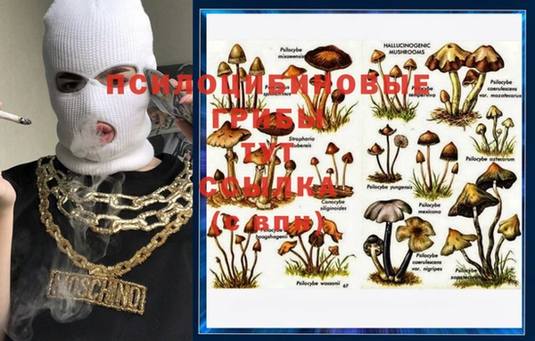 марки nbome Арсеньев