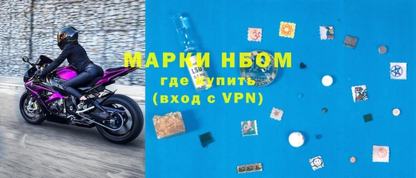 шишки Аркадак