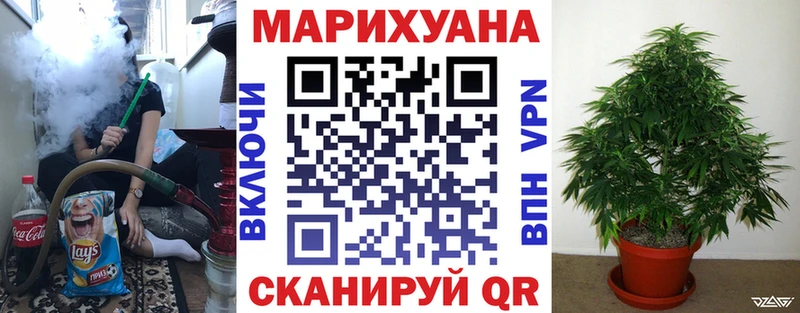 Купить  Бакал  Шишки марихуана план 